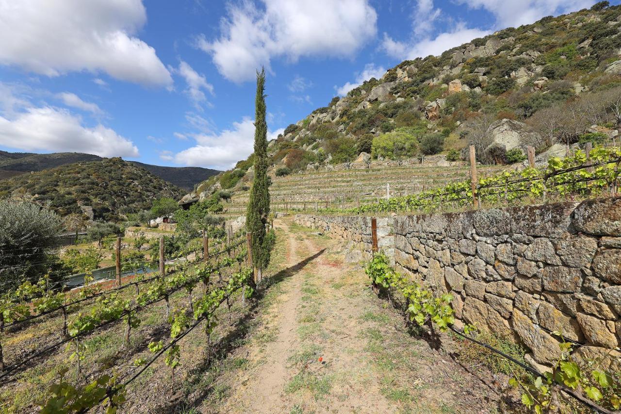 Hostal Quinta Da Ferradosa Wines São João da Pesqueira Exterior foto